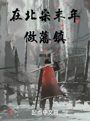 宋朝有藩镇吗