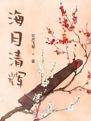 海月清辉古琴值多少钱