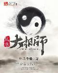 风水大相师苏九境界