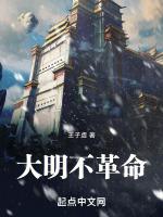 大明不革命盗版免费高清