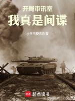 我真是间谍