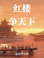 红楼争天下TXT
