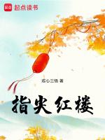 指尖红楼新笔趣阁