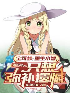 宠物小精灵重生小智