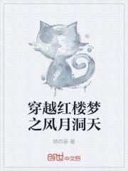 穿越红楼梦之风月洞天最新