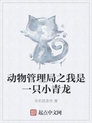 动物管理局小白