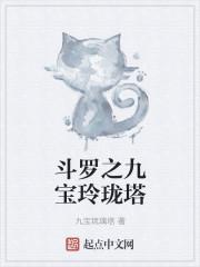斗罗之九宝玲珑塔宁川