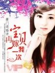 豪门弃妻宝贝休想逃免费阅读