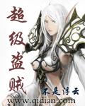 超级盗贼txt