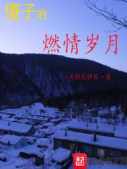 傻子的燃情岁月 第261章