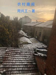 农村趣事文案