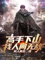 主角叶小龙的