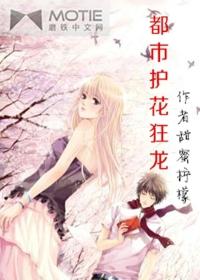 都市护花狂龙陈阳免费阅读全文