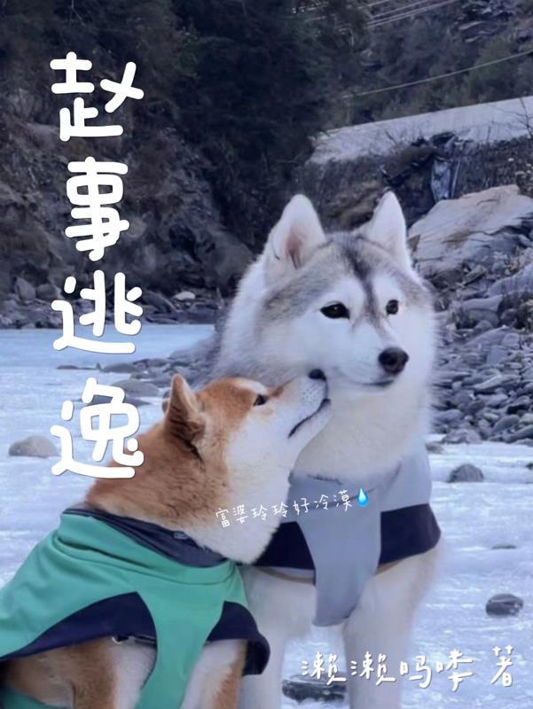 逃逸事故处罚标准