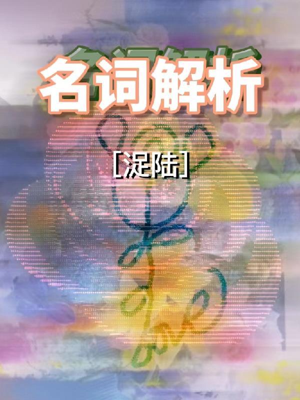 名词解析规律