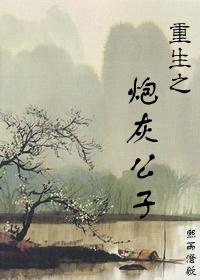 重生之炮灰公子讲的是什么