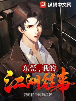 羊城风云我的江湖往事 第267章