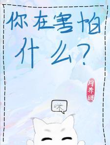 小猫 啊