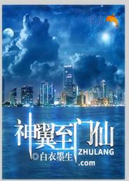 神翼系统的开启等级