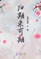归期未可期哪个电视剧提过