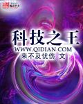 科技之最