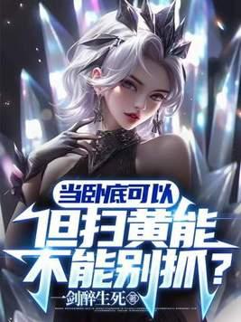 但扫黄能不能别抓?与女大佬的故事