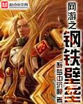 网游之钢铁狂潮txt