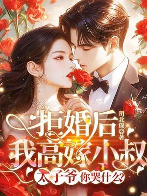 苏婉禾司北琛小说免费阅读