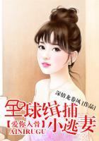 爱你入骨全球缉捕小逃妻