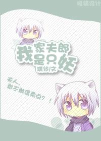 我家夫郎是只妖大结局