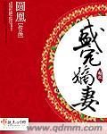 盛宠嫡妻归来TXT