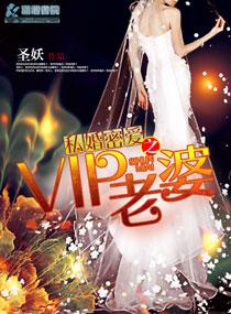 私婚之BOSS的VIP老婆