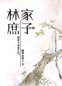 红楼之林家庶子林松