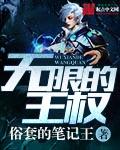 无限的王权txt