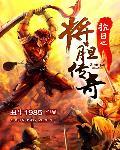 抗日之将胆传奇txt精校