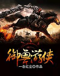 御兽游侠是531还是513