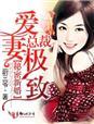 总裁的秘密新娘