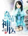 极品神医叶开阅读
