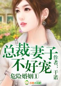 危险婚爱总裁宠妻如命动漫