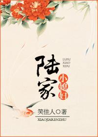 陆家小媳妇 笑佳人 全文免费阅读笔趣阁