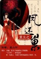 重生之凤还巢 嘉惜