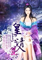 圣宠王妃执手一笔全文免费阅读