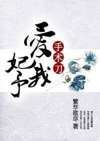 爱妃你的刀掉了免费