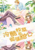 冷酷校草的专属甜心txt