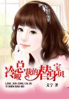 冷总裁的替身新娘全文阅读