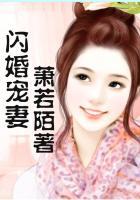 闪婚宠妻狂魔电视剧免费观看