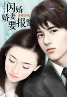闪婚之宠妻无限