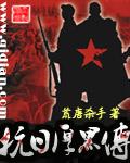 抗日厚黑传无删减版全文阅读