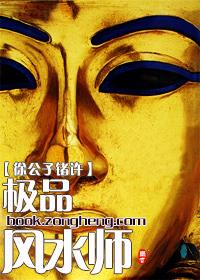 极品风水师怎么样