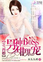 再婚盛宠boss轻轻爱免费阅读